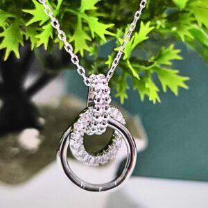 Elegant Silver Double Circle Necklace